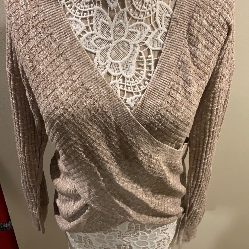 Brand New V-Neck Express Sweater